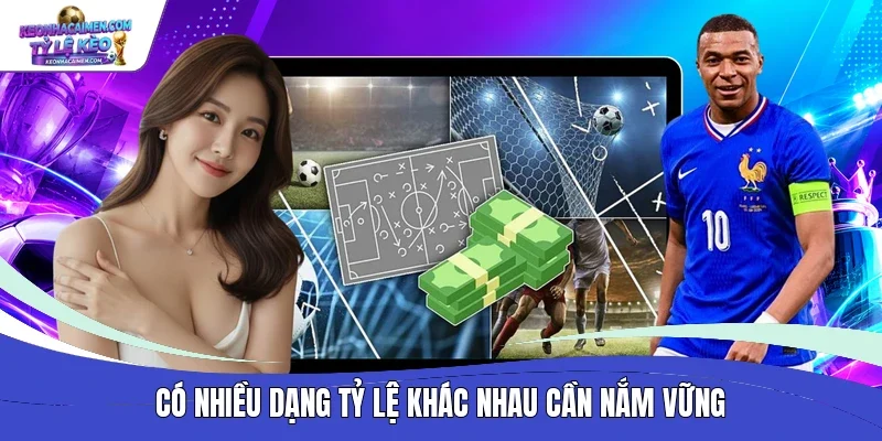 Có nhiều dạng tỷ lệ khác nhau cần nắm vững