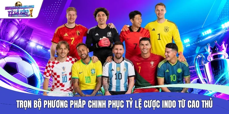 Trọn bộ phương pháp chinh phục tỷ lệ cược Indo từ cao thủ
